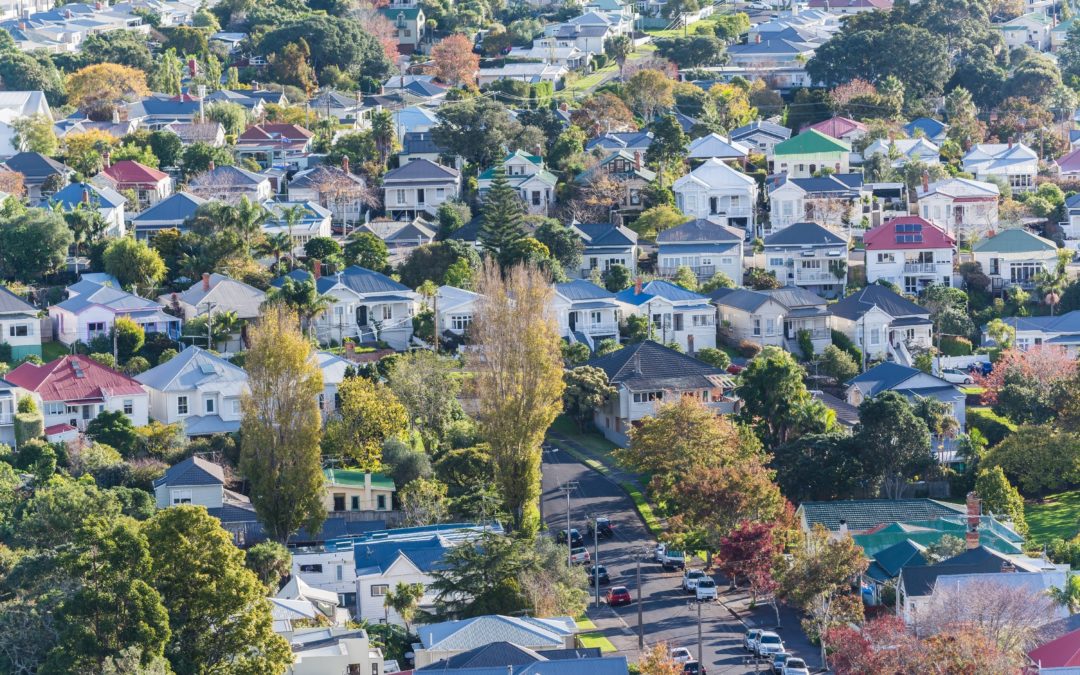 Budget 2021 – Unpacking the budget and its impact on the NZ housing market