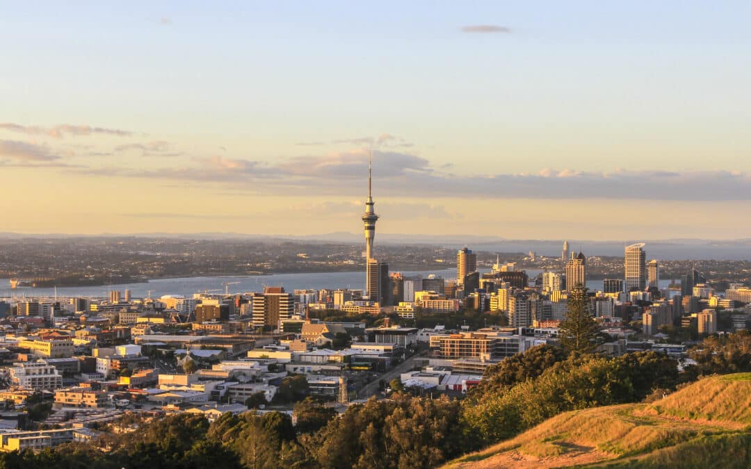 The city of auckland is seen from the top of a hill