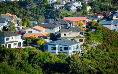 Valocity Market Insights Report – July 2025