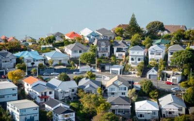 Valocity Market Insights Report – August 2025