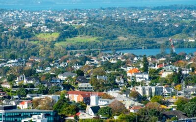 Valocity Market Insights Report – November 2025