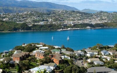 Valocity Market Insights Report: March 2026